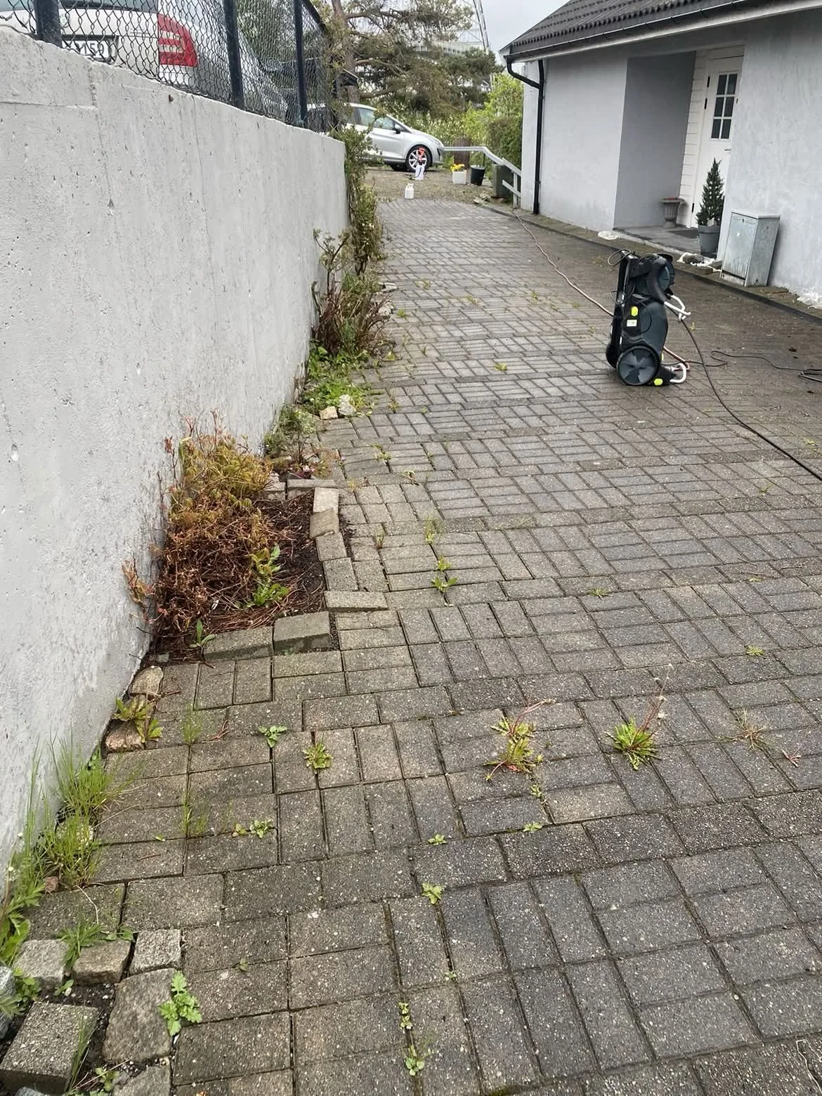 Gårdsplass før rydding og rengjøring, med ugress mellom belegningsstein